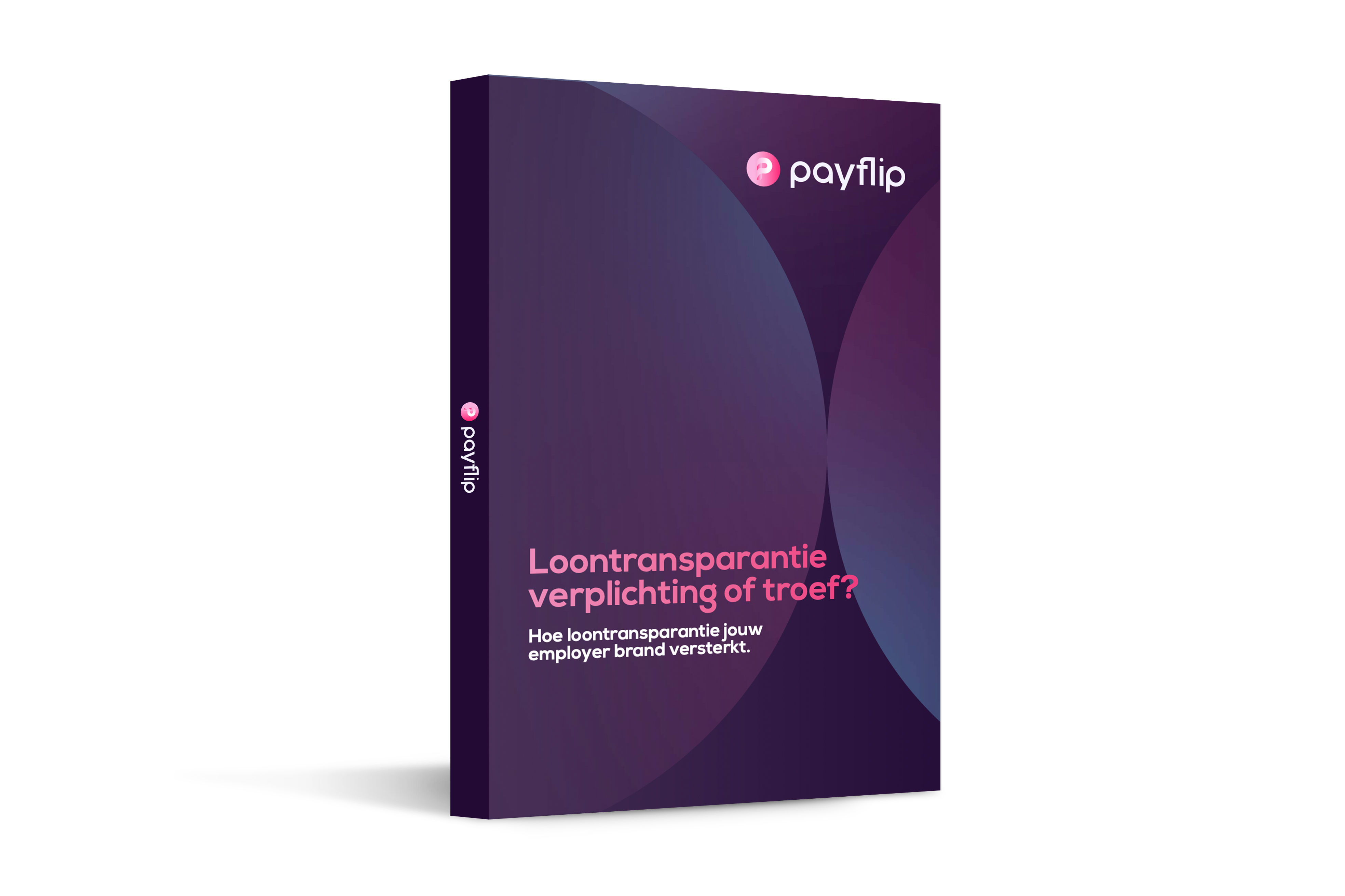 Loontransparantie 2