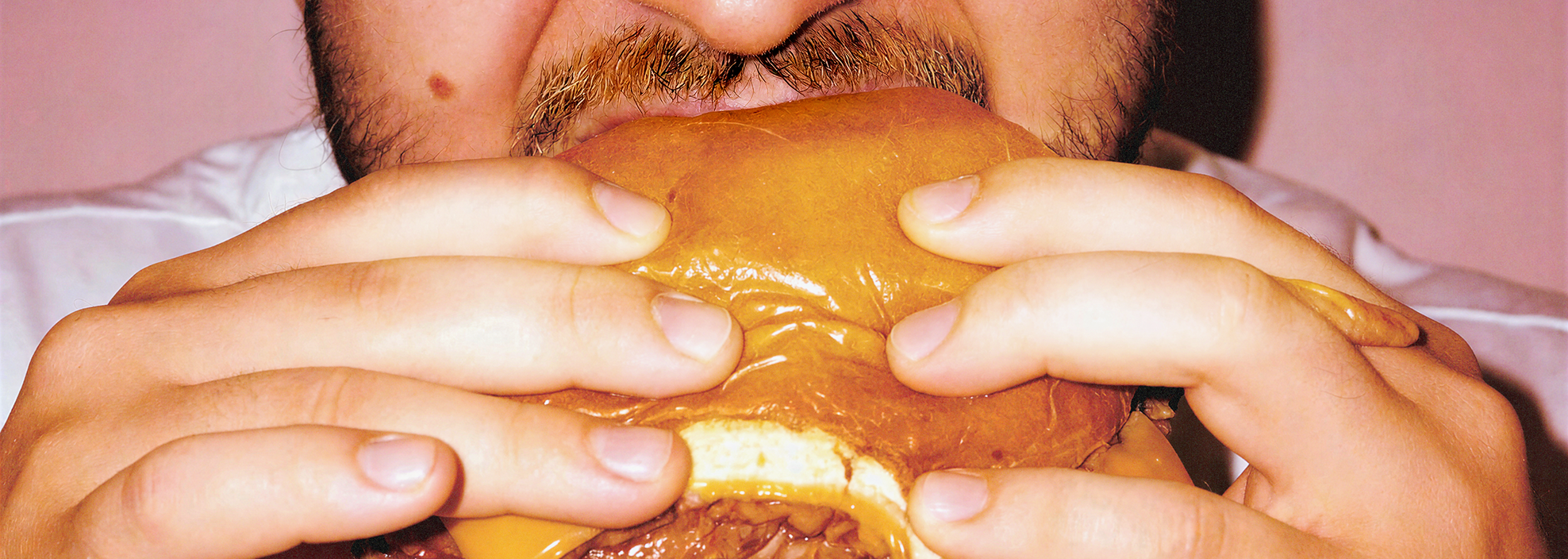 Hamburger cropped